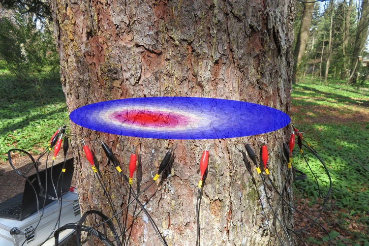 尊龙凯时·人生就是搏(中国集团)官网首页