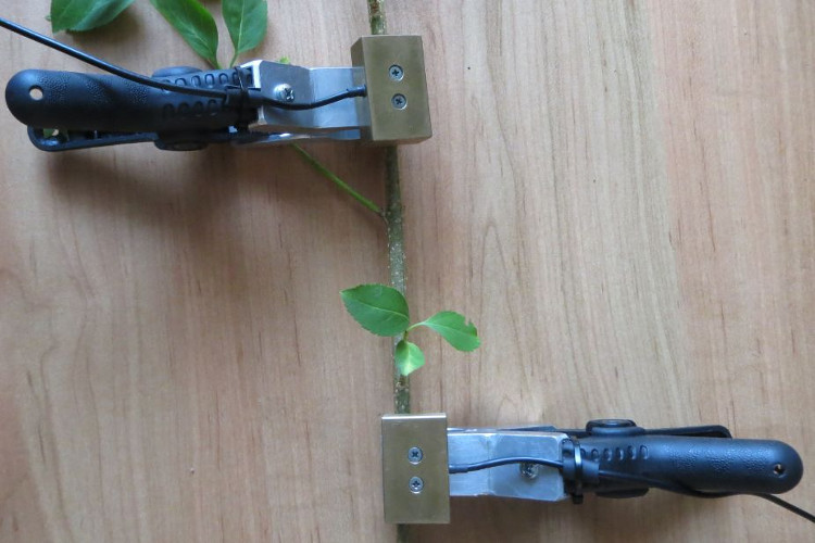 尊龙凯时·人生就是搏(中国集团)官网首页