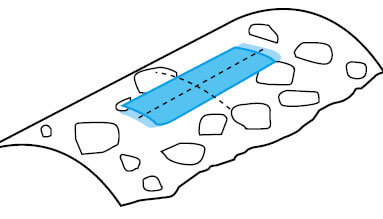 尊龙凯时·人生就是搏(中国集团)官网首页