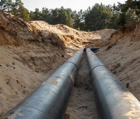 尊龙凯时·人生就是搏(中国集团)官网首页