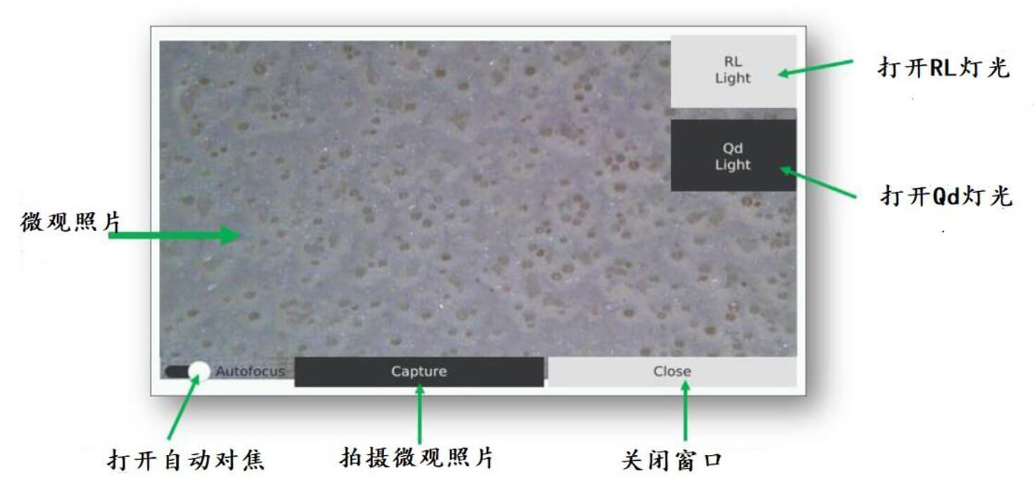 尊龙凯时·人生就是搏(中国集团)官网首页