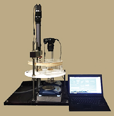 尊龙凯时·人生就是搏(中国集团)官网首页