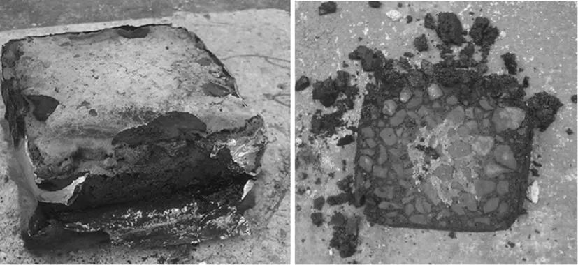 尊龙凯时·人生就是搏(中国集团)官网首页