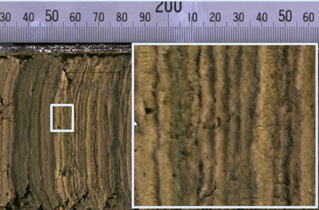 尊龙凯时·人生就是搏(中国集团)官网首页
