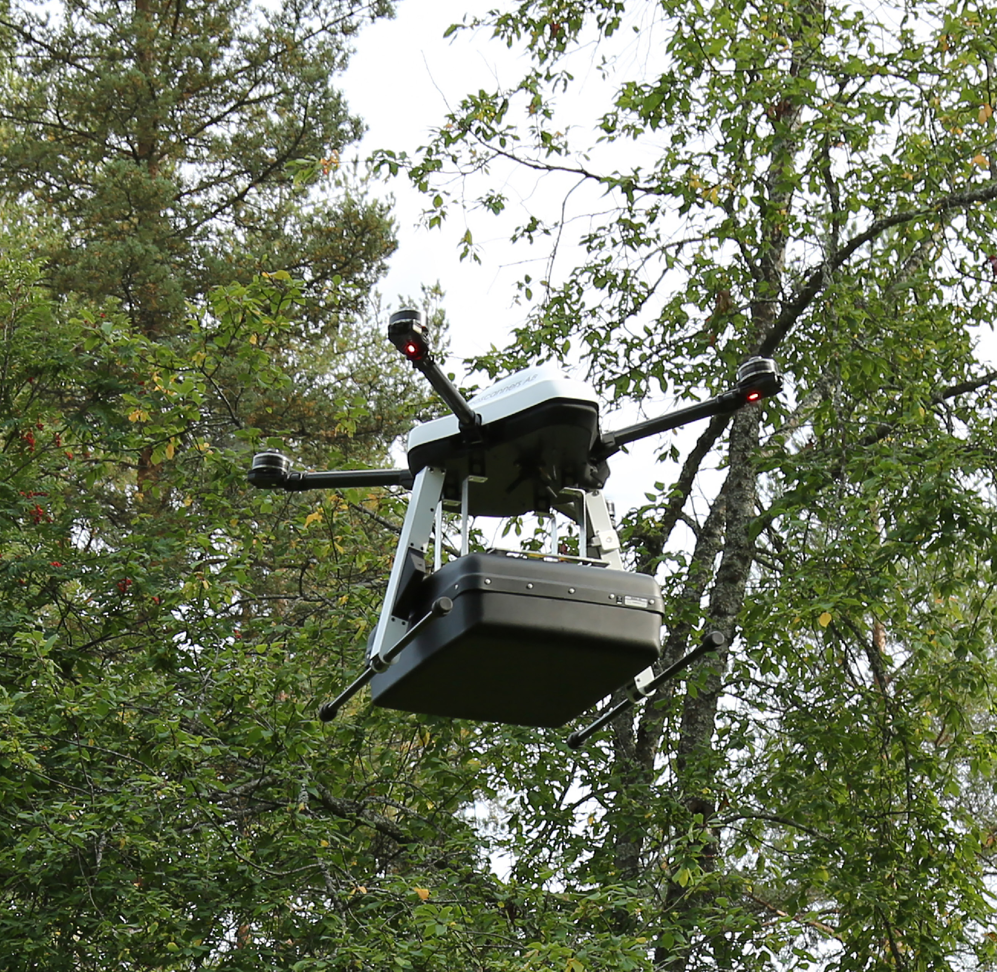 尊龙凯时·人生就是搏(中国集团)官网首页