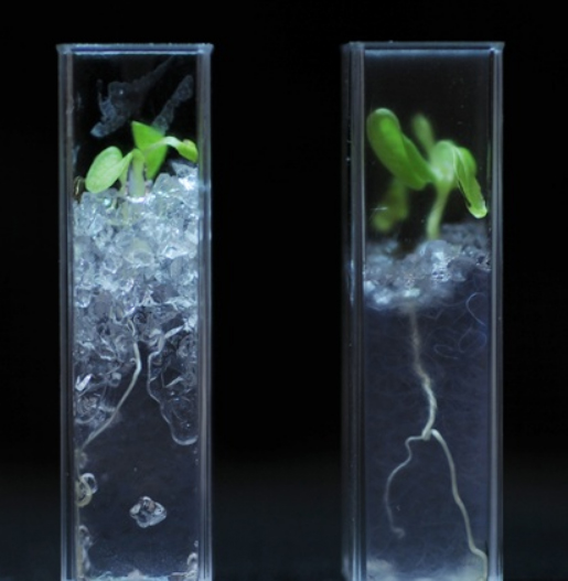 尊龙凯时·人生就是搏(中国集团)官网首页