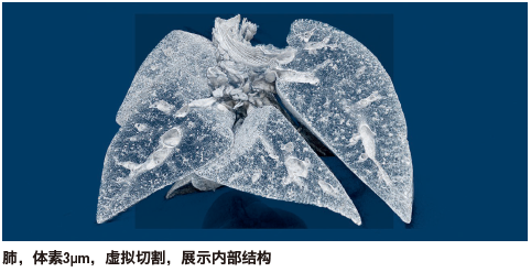 尊龙凯时·人生就是搏(中国集团)官网首页