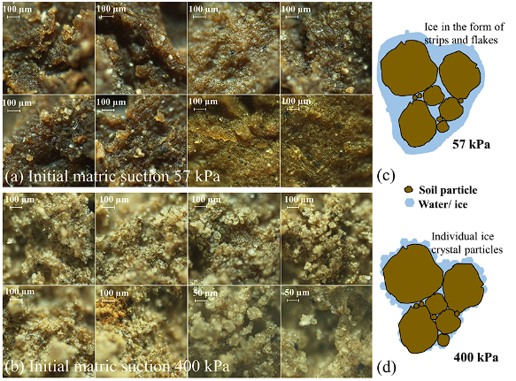 尊龙凯时·人生就是搏(中国集团)官网首页