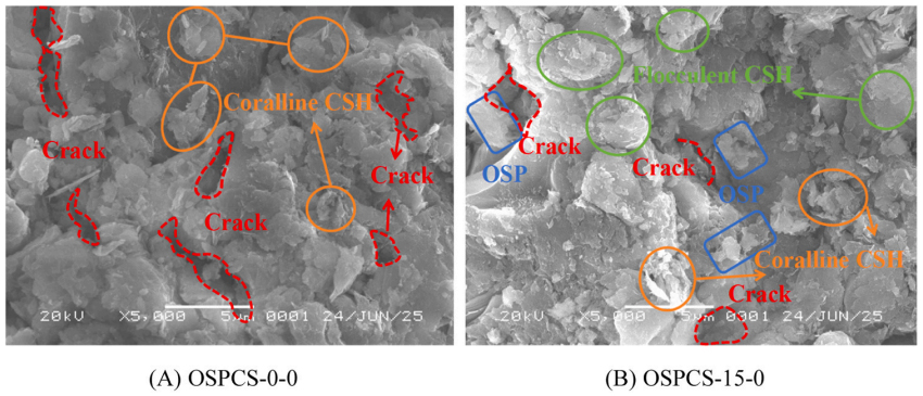 尊龙凯时·人生就是搏(中国集团)官网首页
