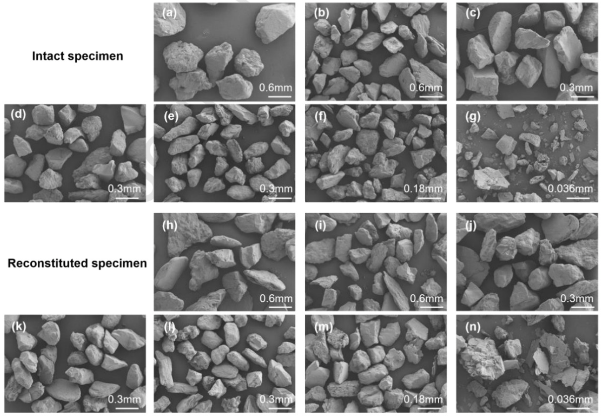 尊龙凯时·人生就是搏(中国集团)官网首页