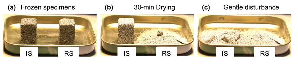 尊龙凯时·人生就是搏(中国集团)官网首页
