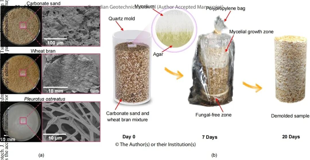 尊龙凯时·人生就是搏(中国集团)官网首页