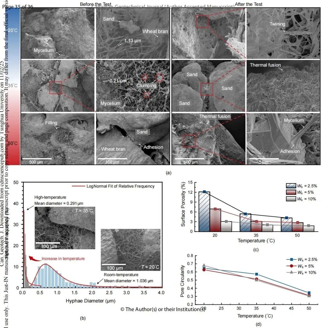 尊龙凯时·人生就是搏(中国集团)官网首页