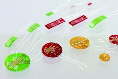 尊龙凯时·人生就是搏(中国集团)官网首页