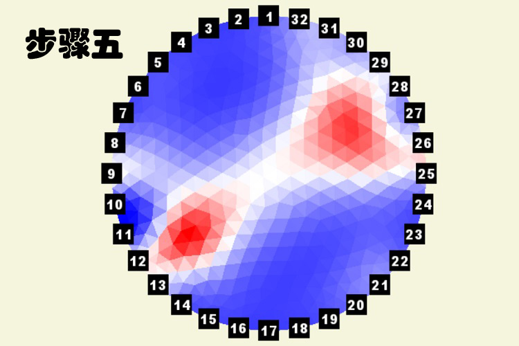 Fakopp 阻抗成像仪